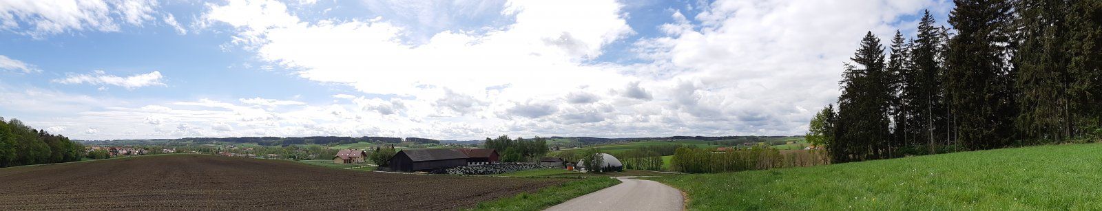 20200501_113707.jpg
