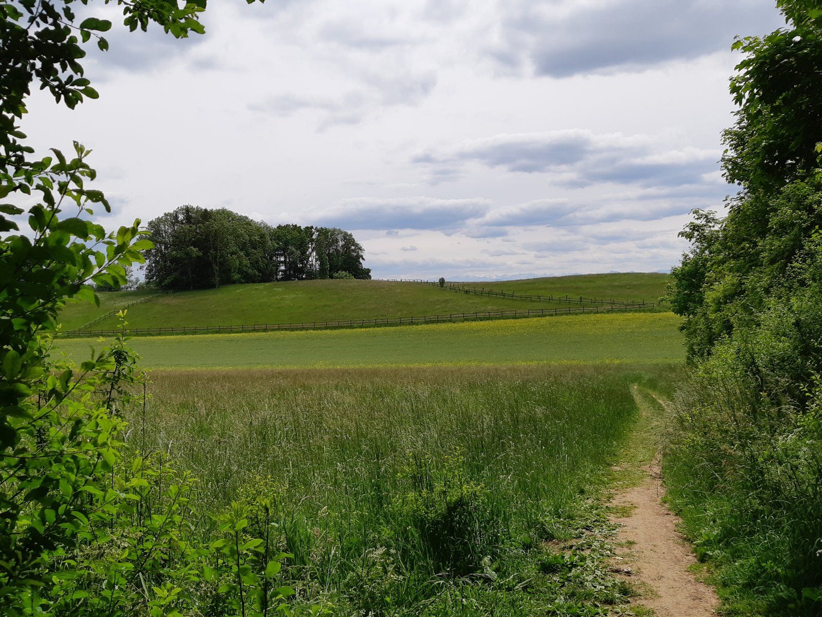 20200531_135449.jpg