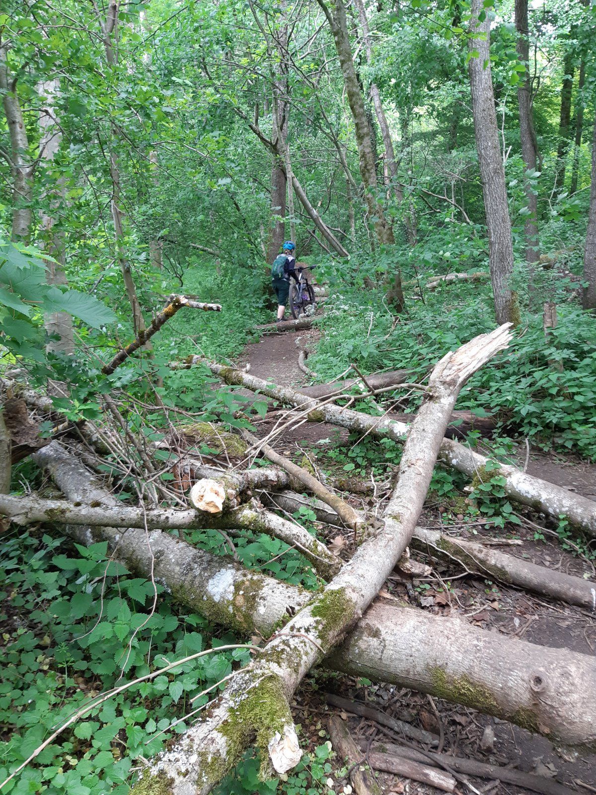 20200531_142549.jpg