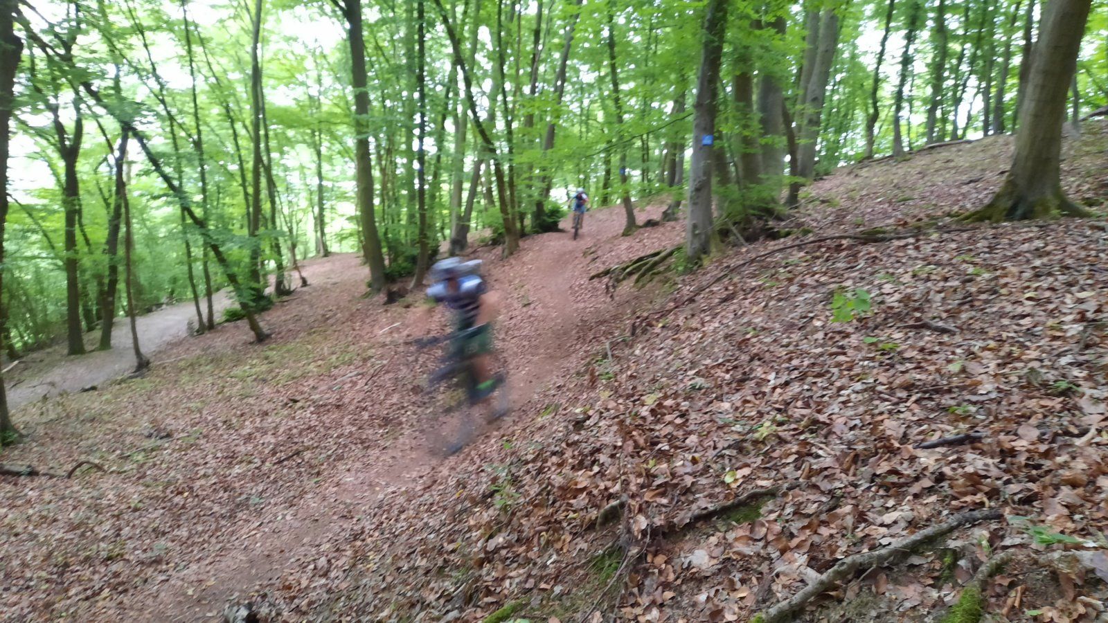 20200613_103402.jpg