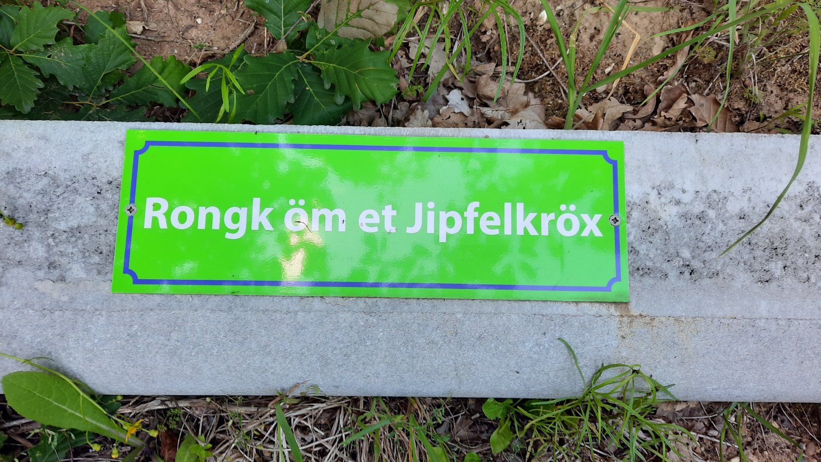 20200620_140710.jpg