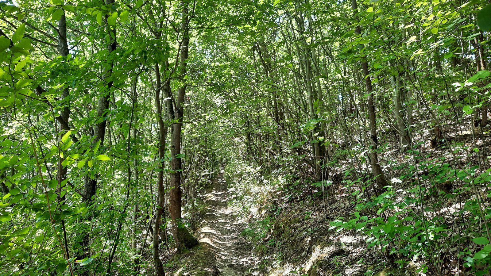 20200620_142647.jpg
