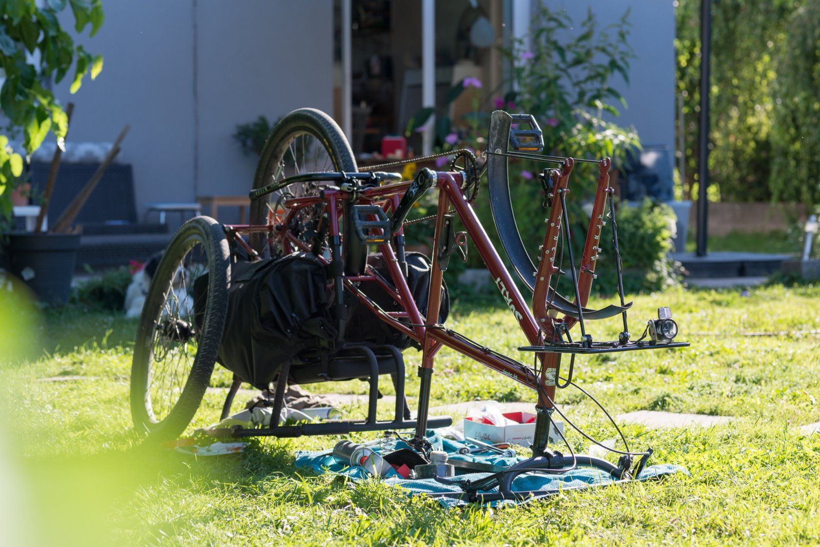 20200705-DSC_7182.jpg