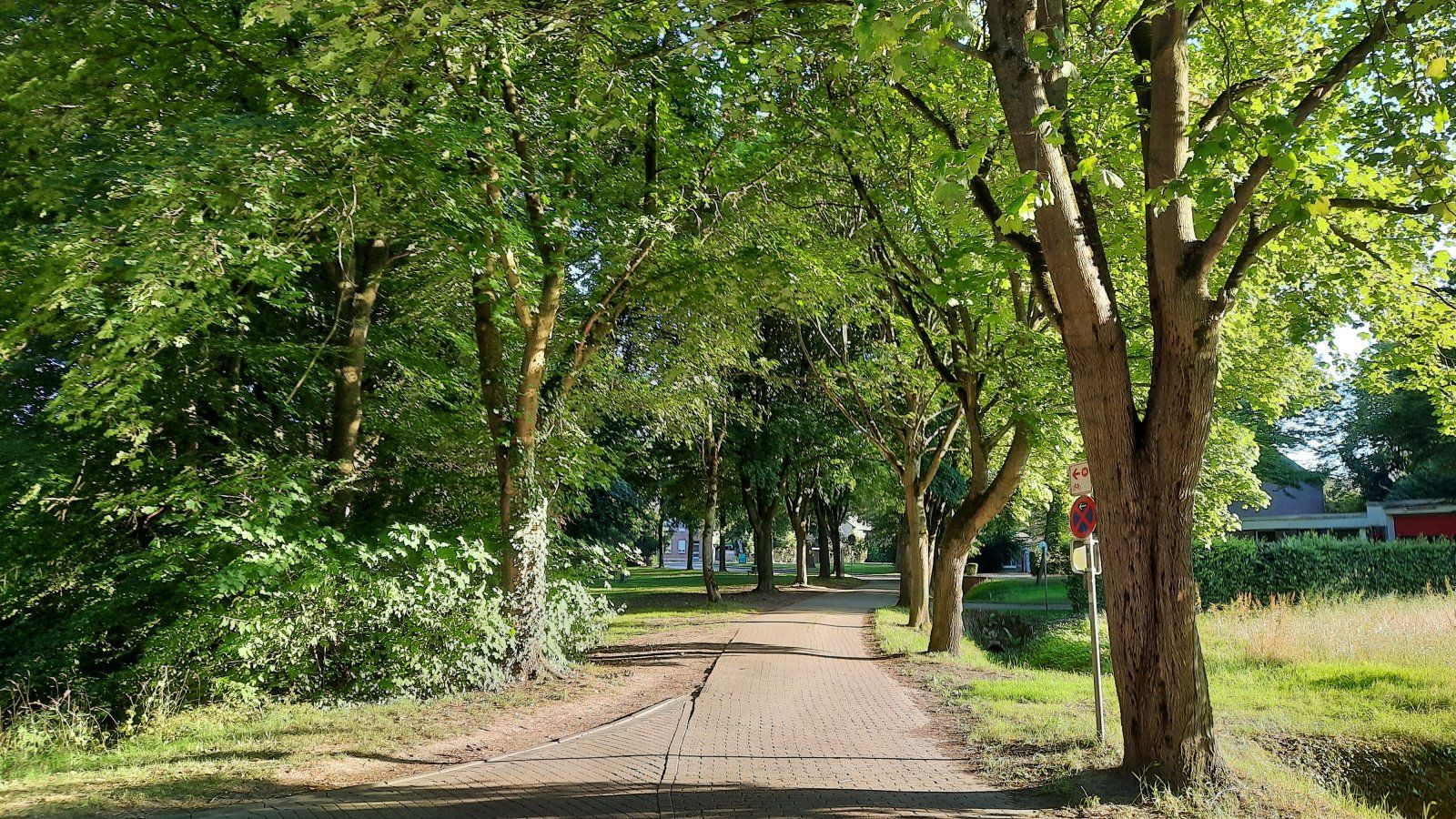 20200721_194443.jpg