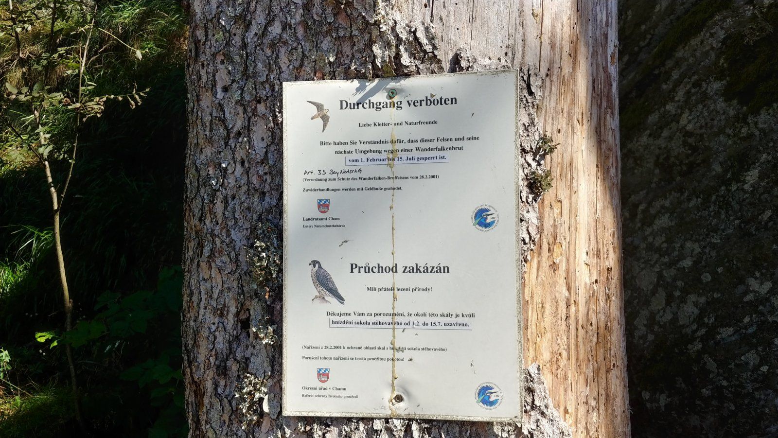 20200820_111531_HDR.jpg