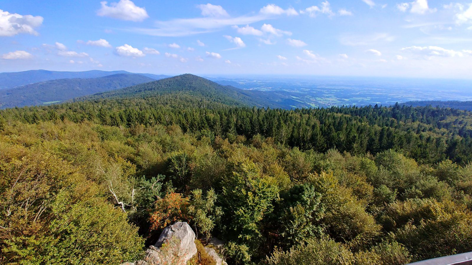 20200903_164920_HDR.jpg