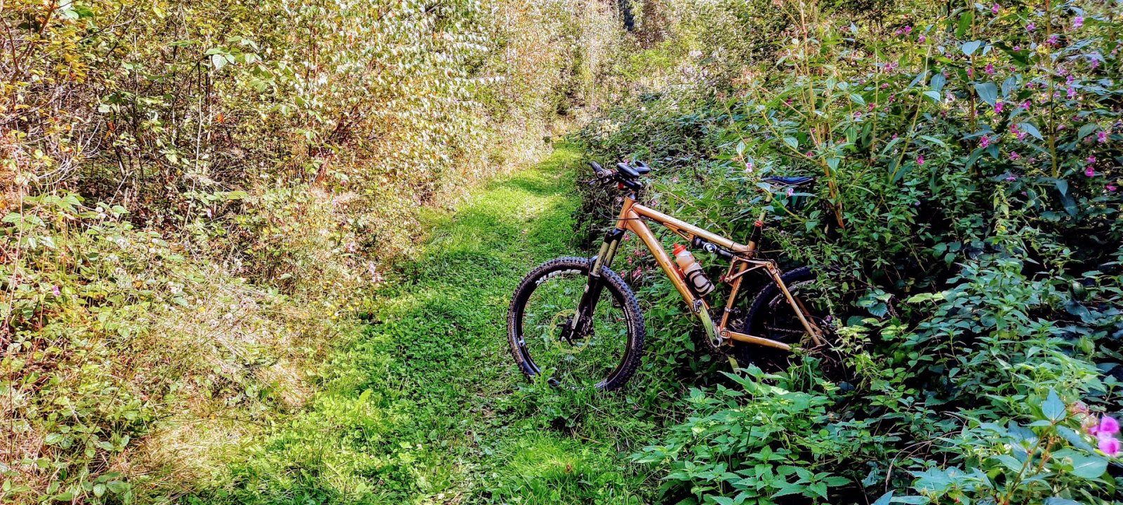 20200919_150038.jpg
