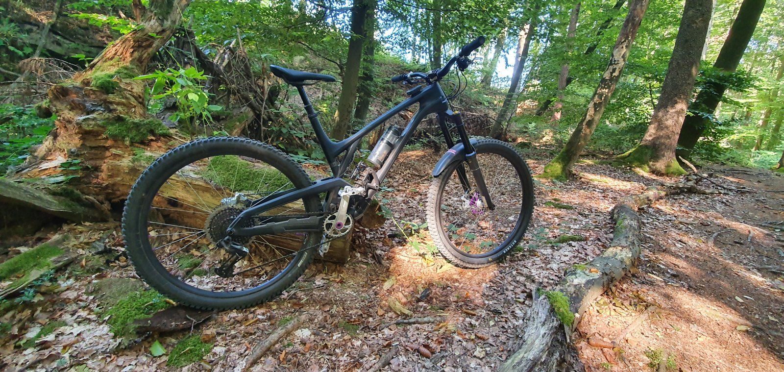 20200920_144937.jpg