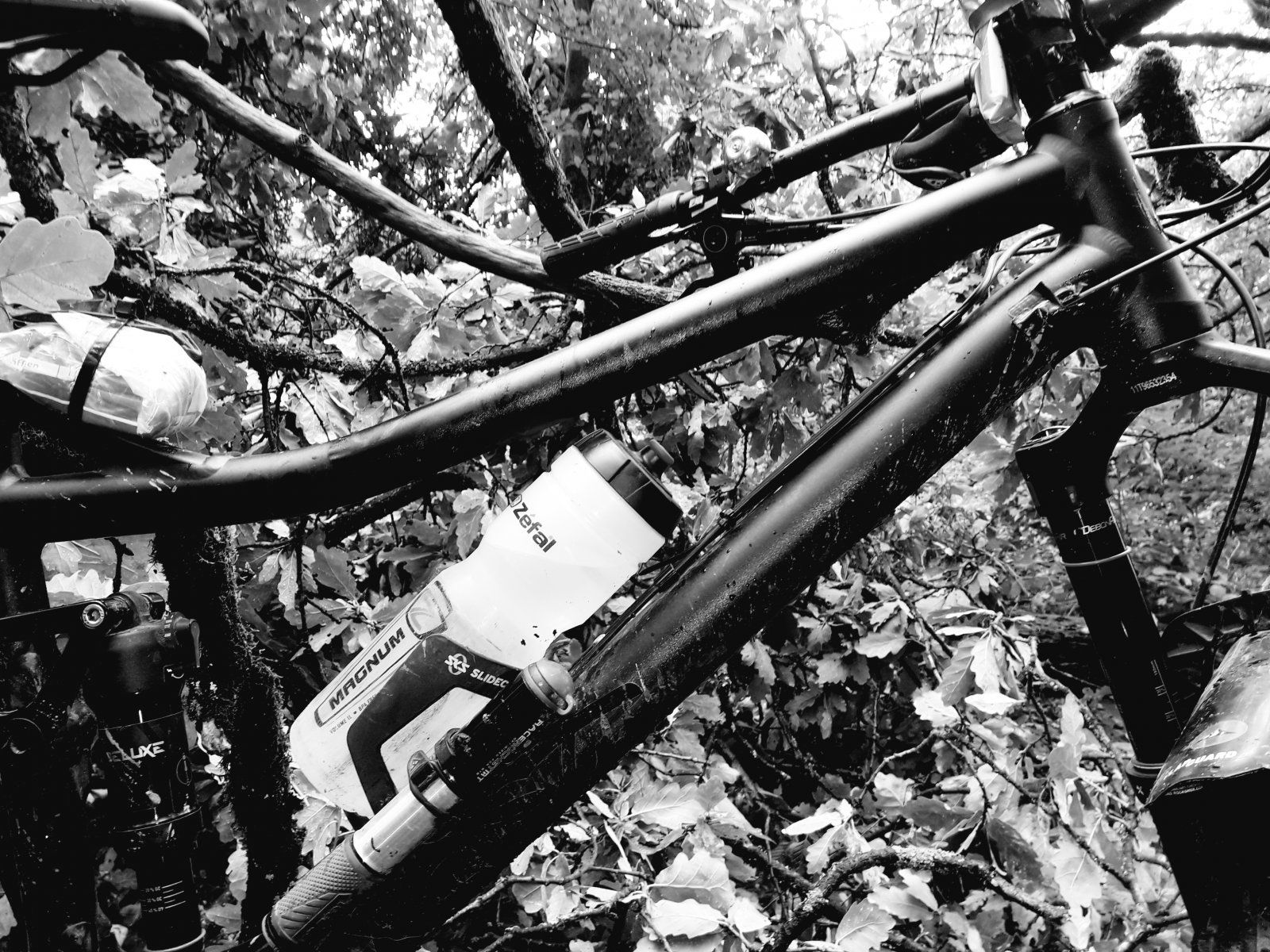 20200927_150918.jpg