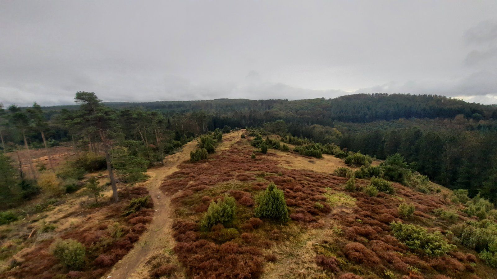 20201003_152741.jpg