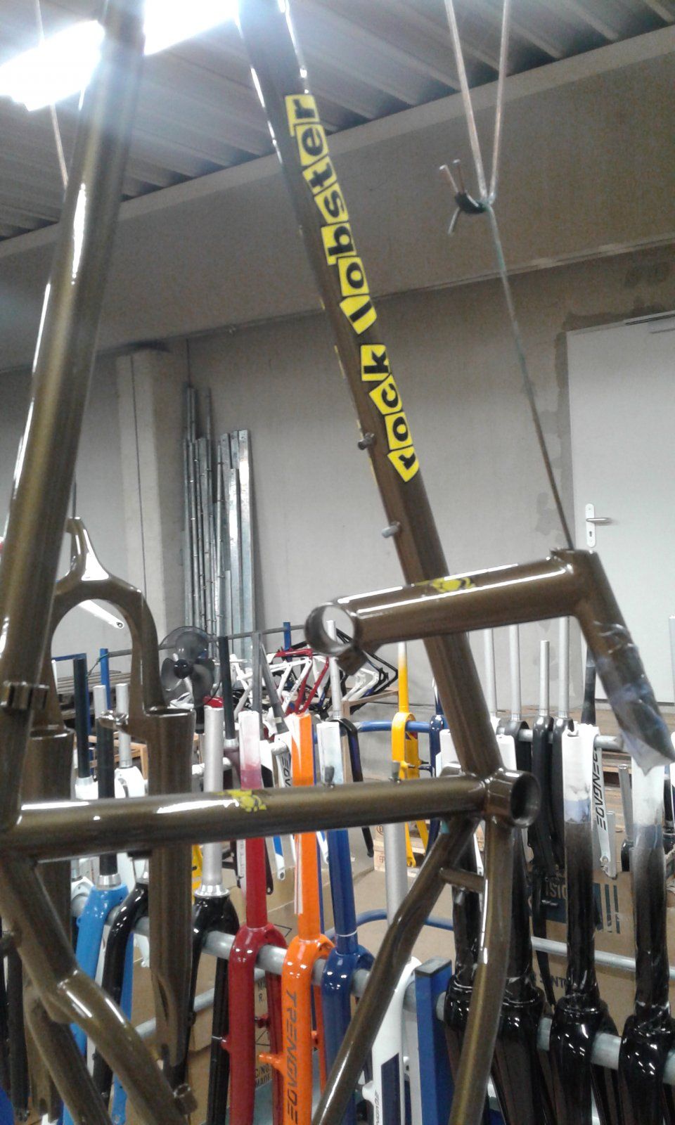 20201007_174513.jpg