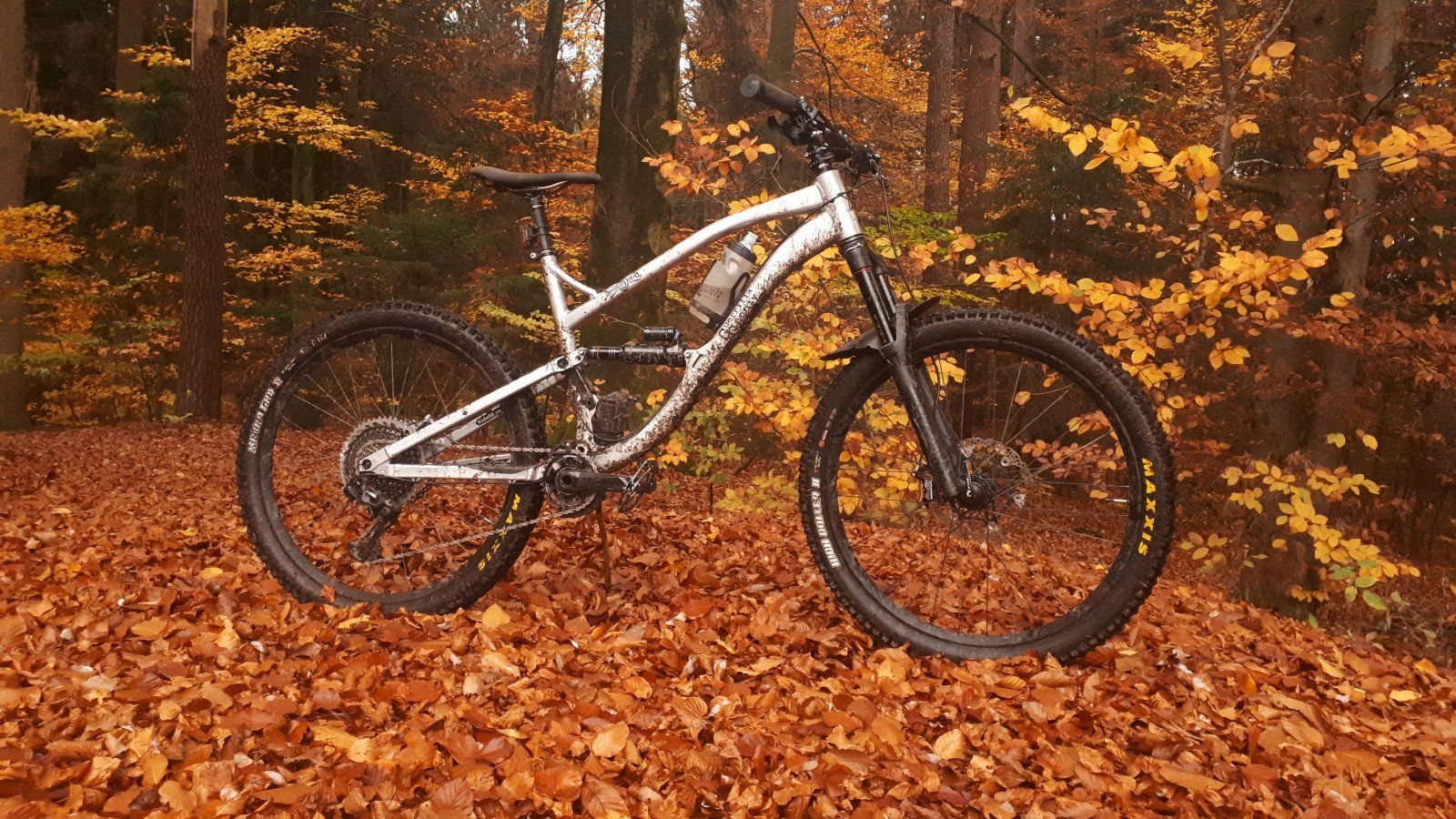20201103_121905.jpg