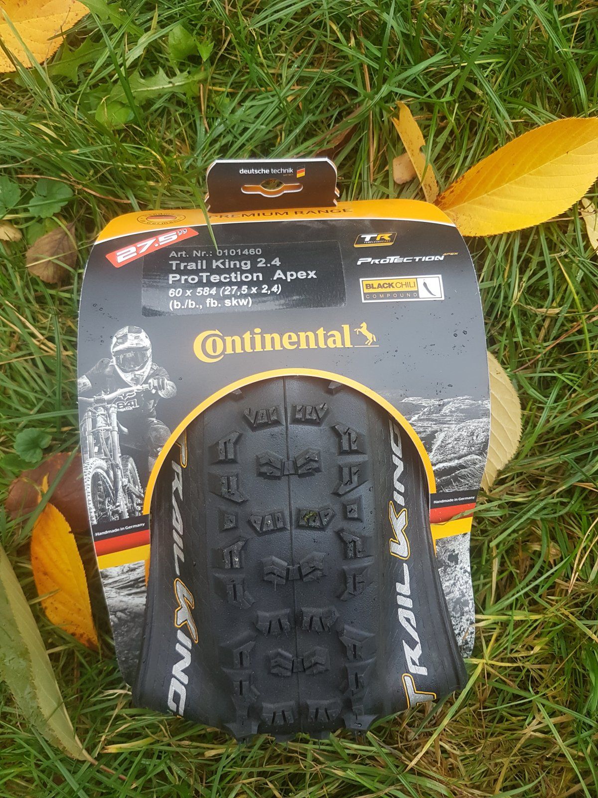 20201103_140025.jpg