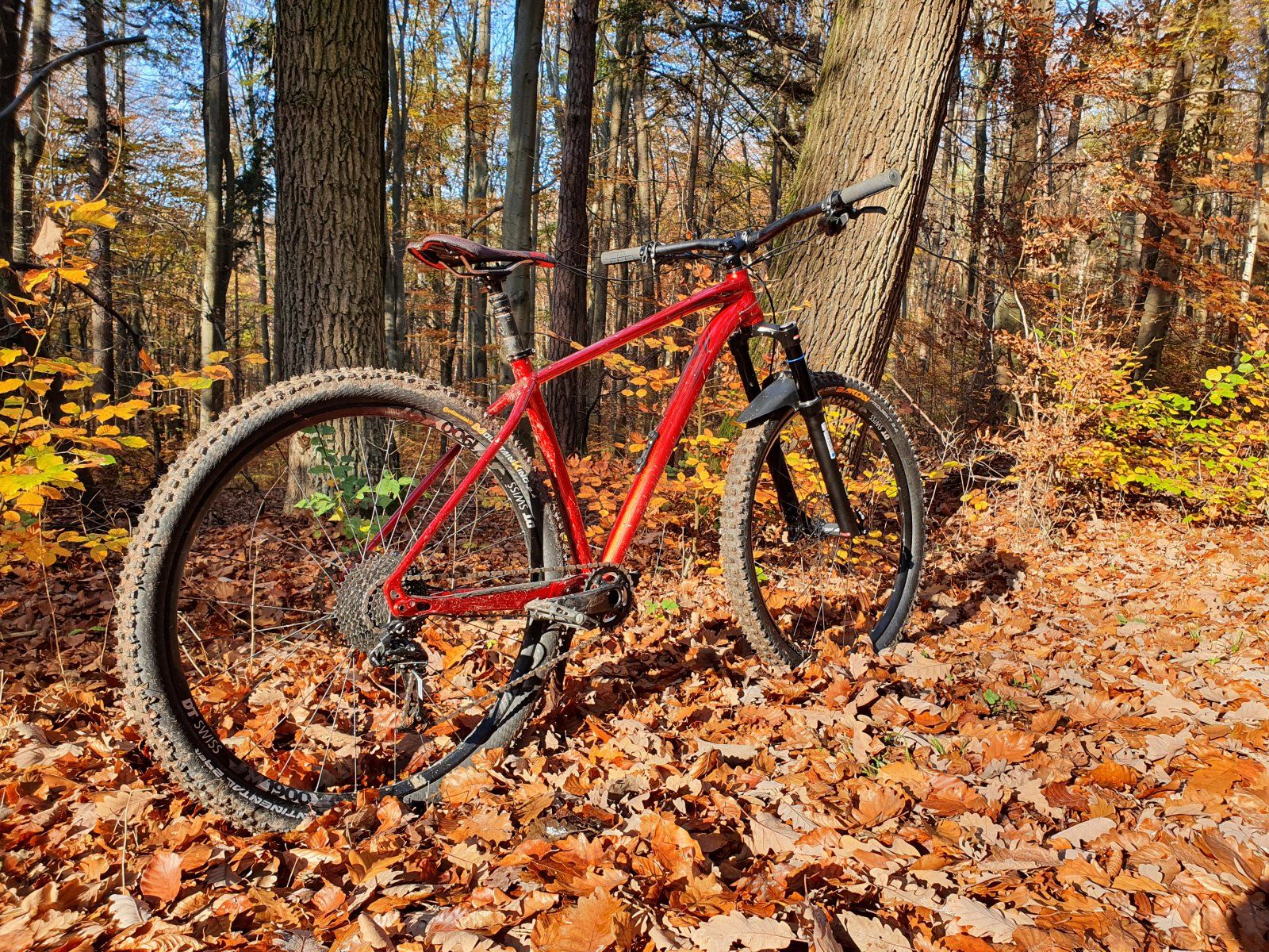 20201105_131057-626.jpg