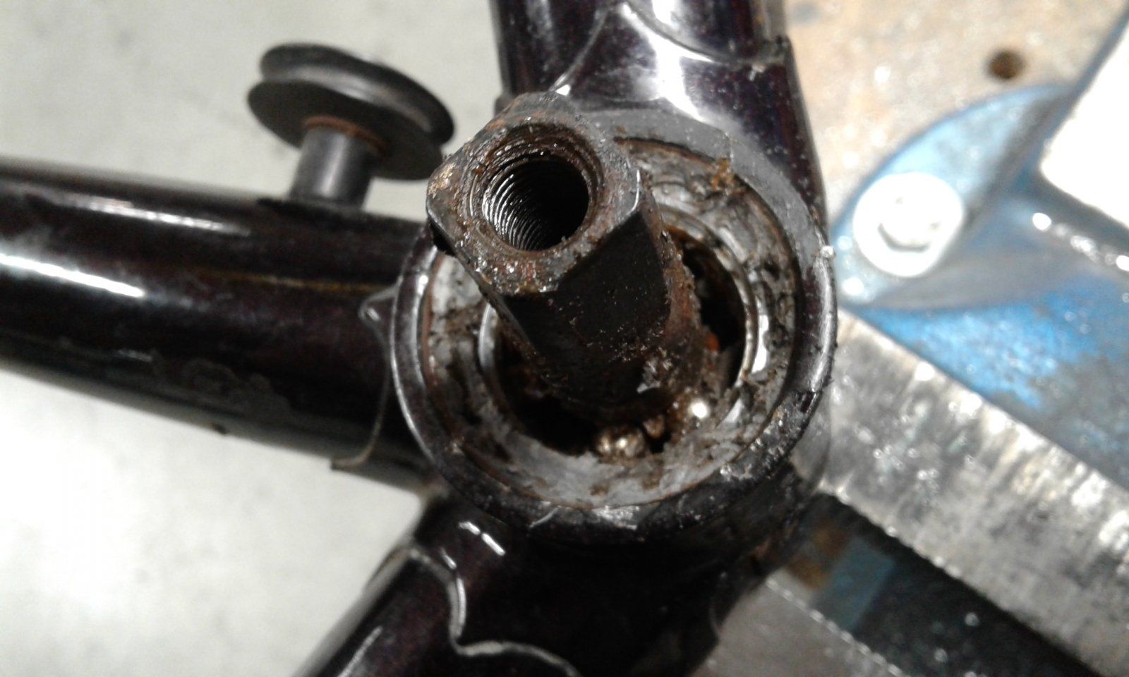 20201117_172333.jpg