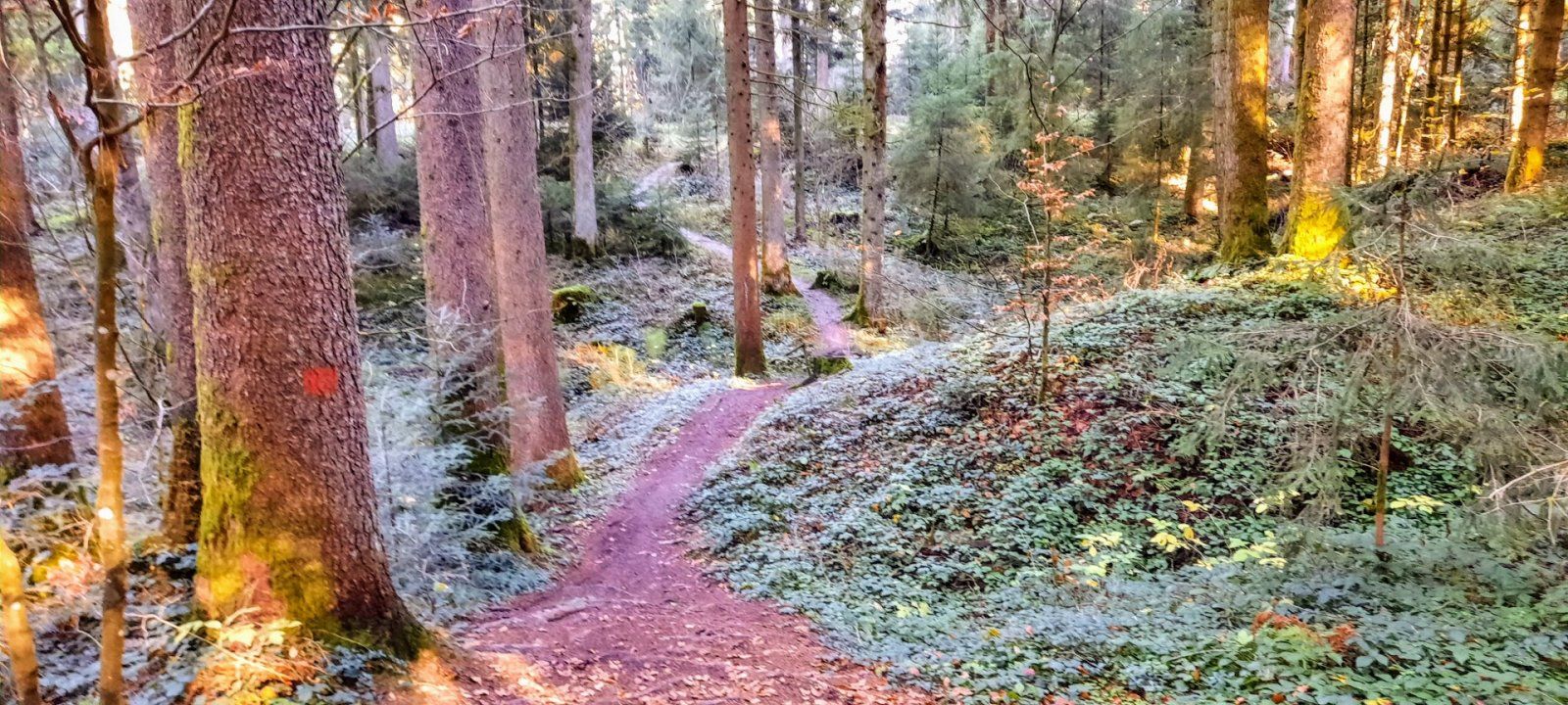 20201118_140844.jpg