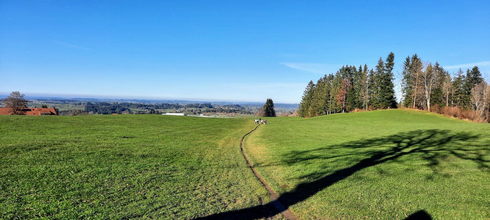 20201118_142029.jpg