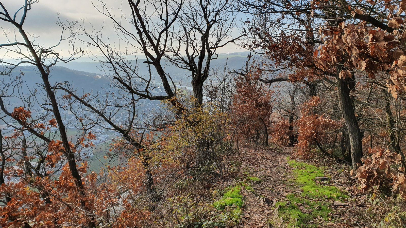 20201128_132222.jpg