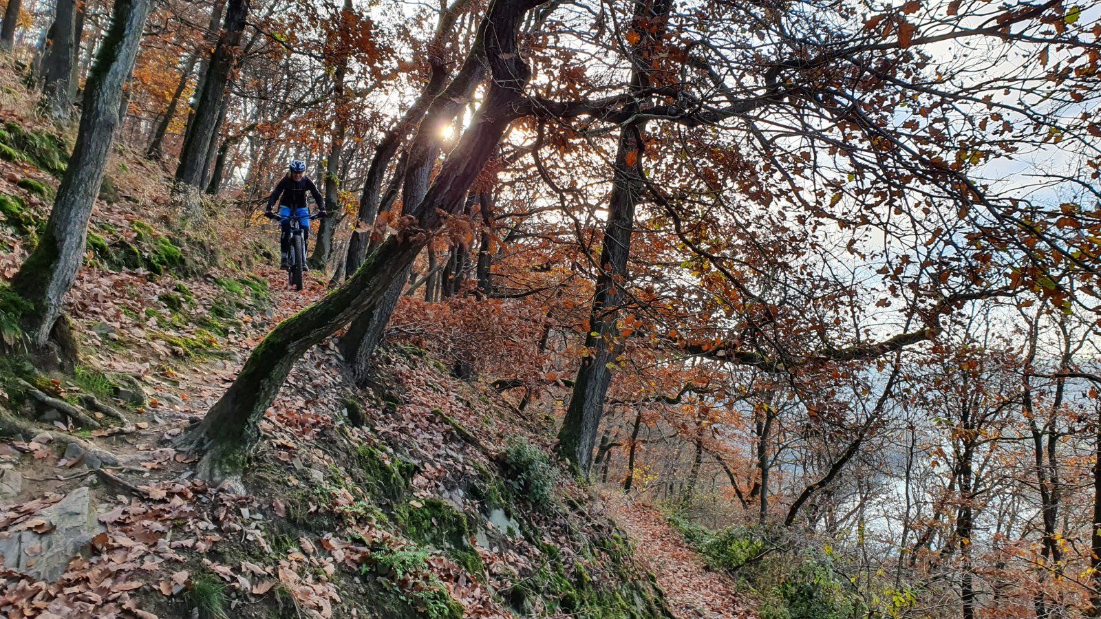 20201128_133018.jpg