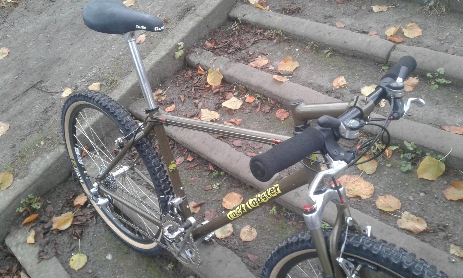 20201128_151140.jpg