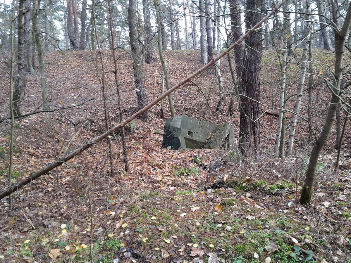 20201129_122617.jpg