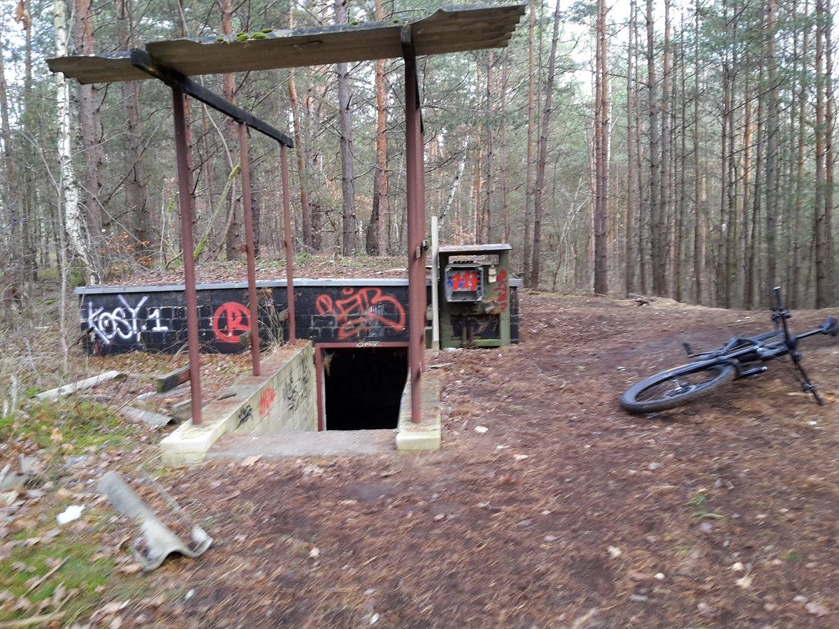 20201129_123343.jpg