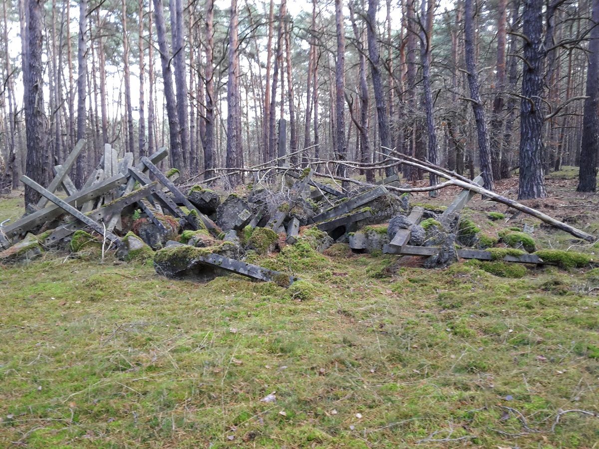 20201129_124058.jpg