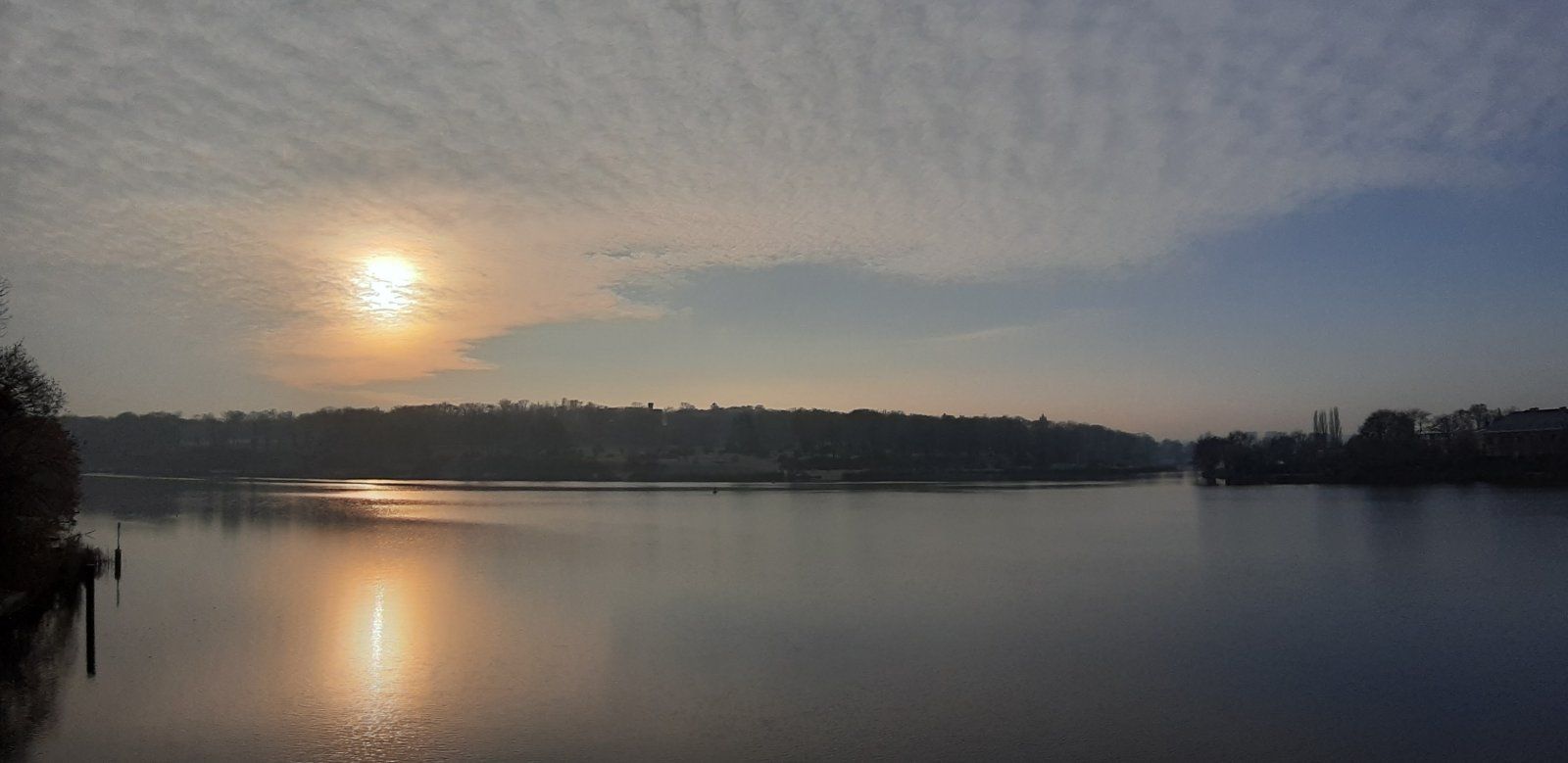 20201202_094857.jpg