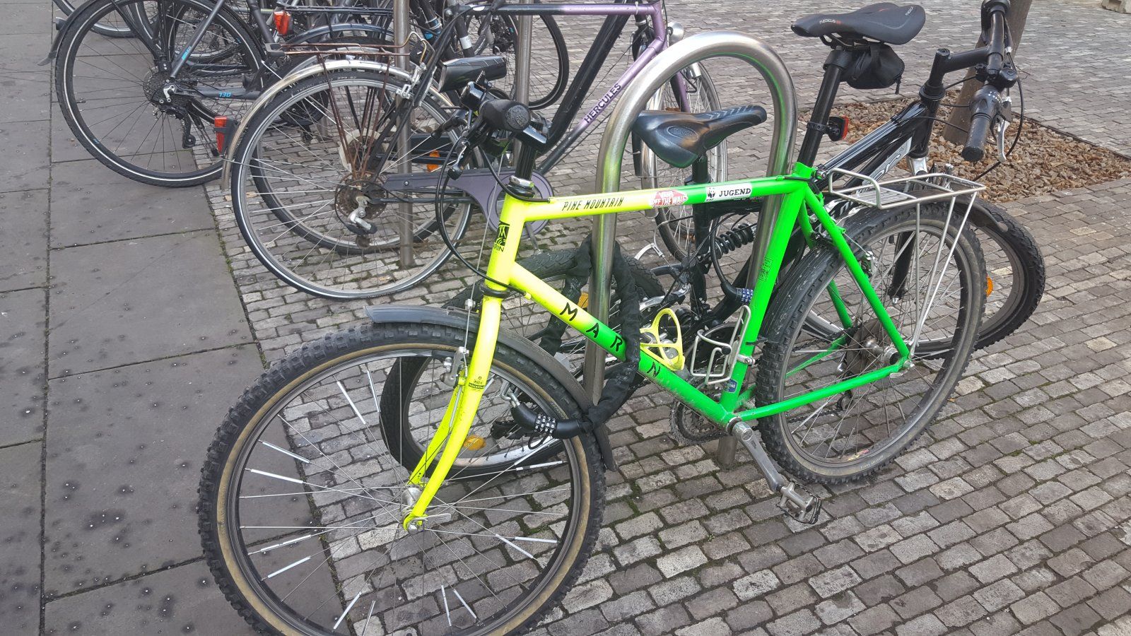 20201204_133030.jpg