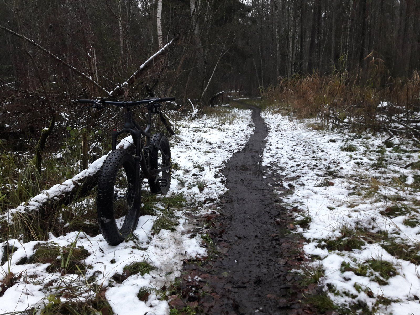 20201205_162004.jpg