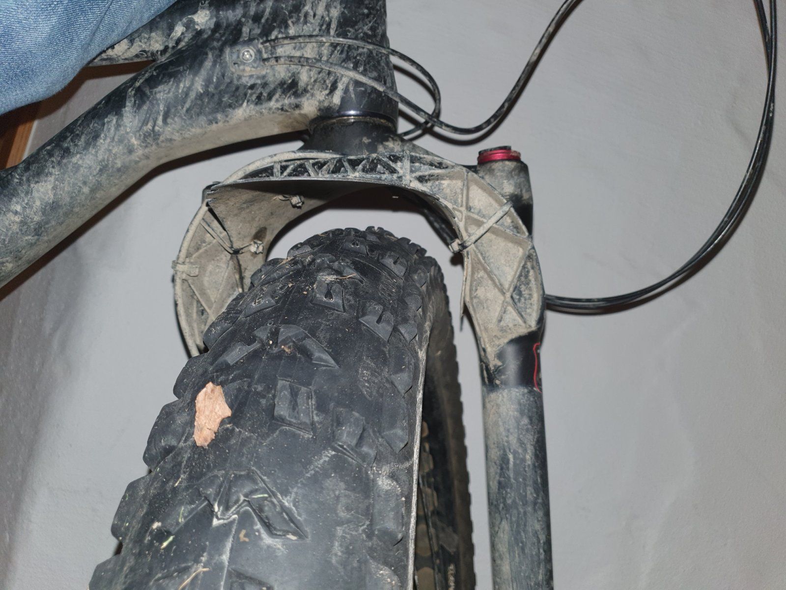 20201205_183432_resized_1.jpg
