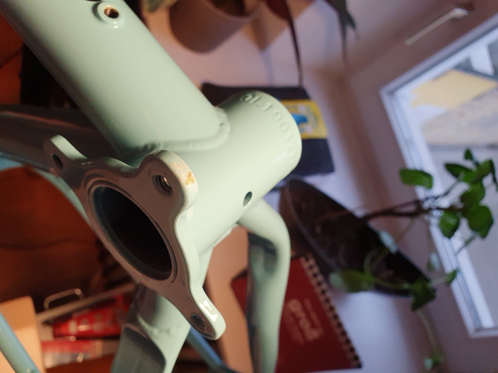 20201207_084343.jpg