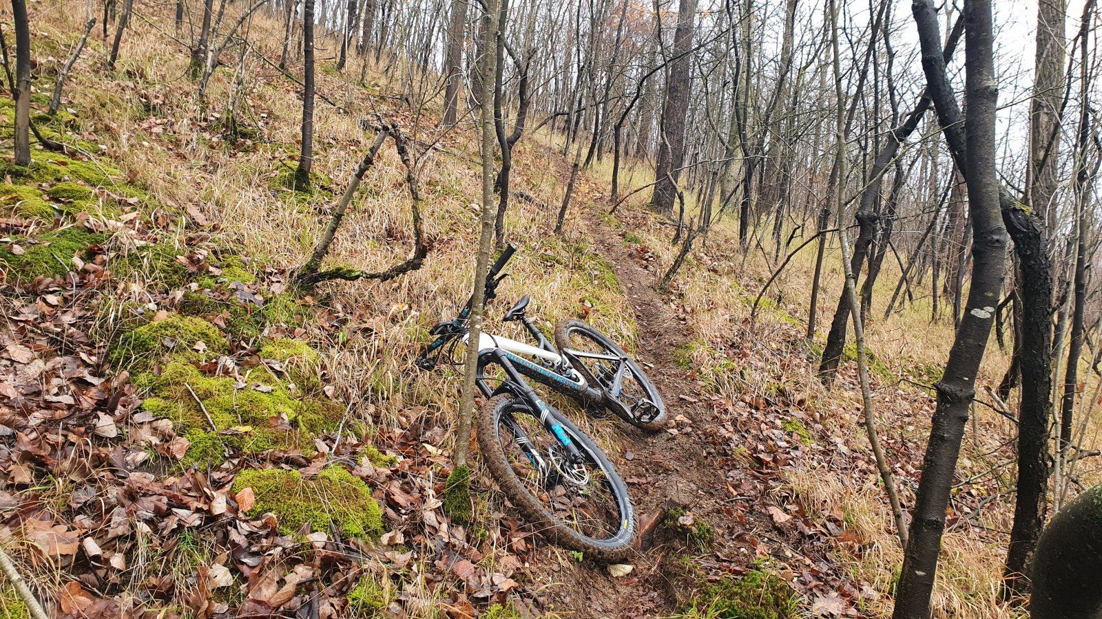 20201213_115814.jpg