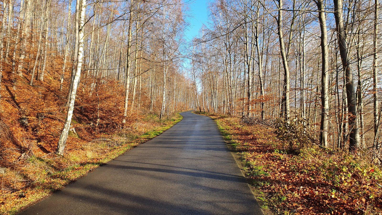 20201213_124408.jpg
