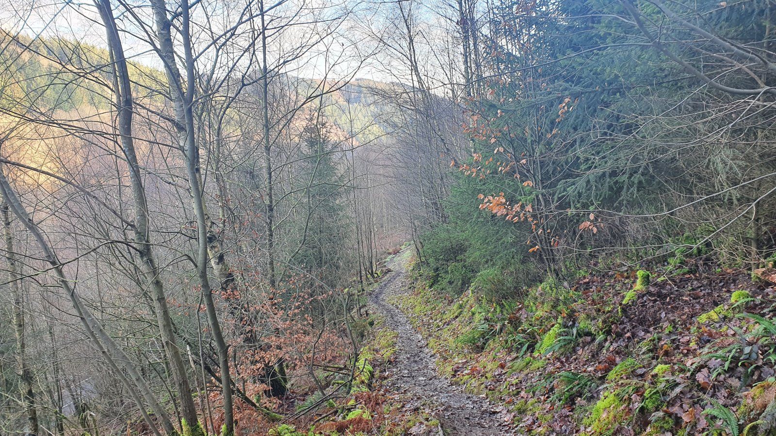 20201219_103337.jpg