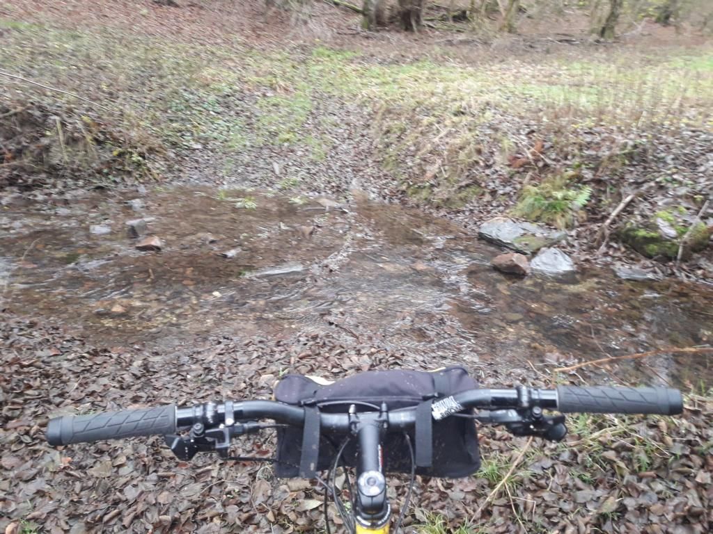 20201222_095938.JPG