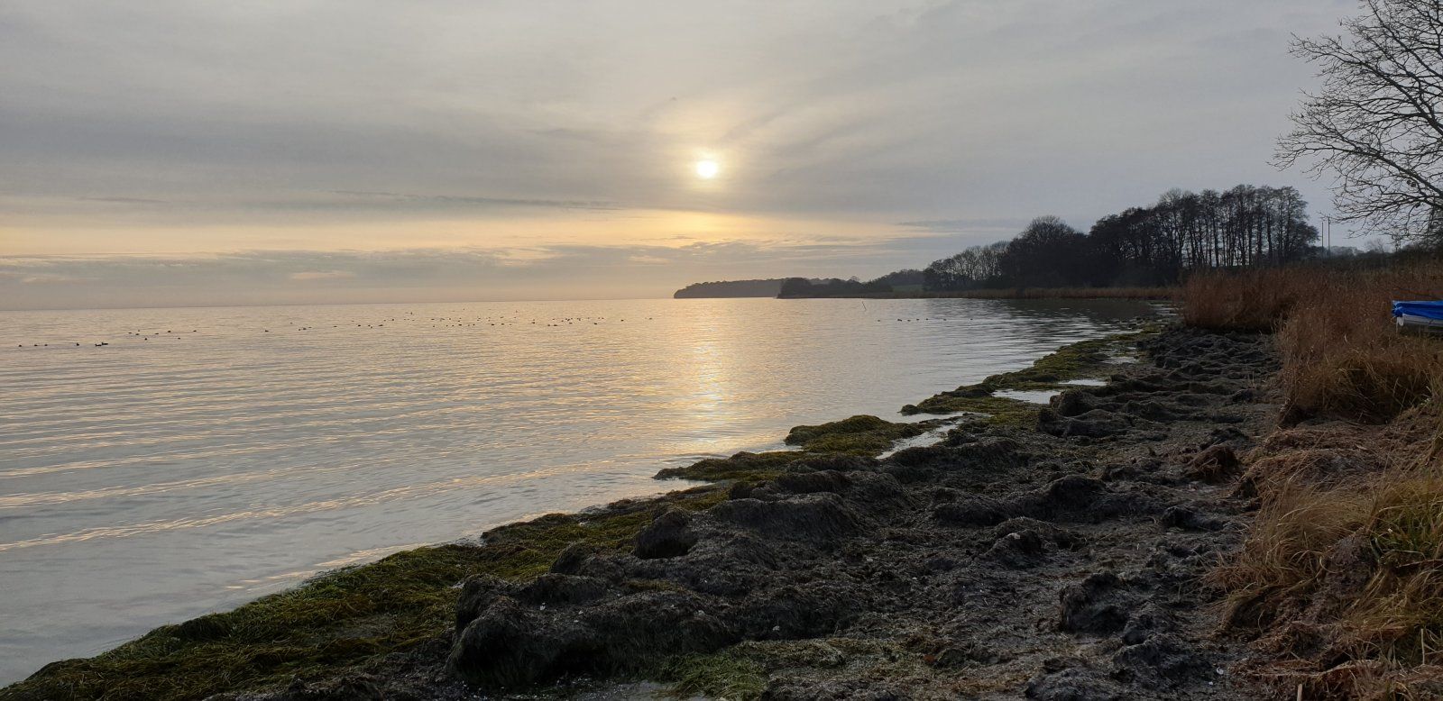 20201223_142858.jpg