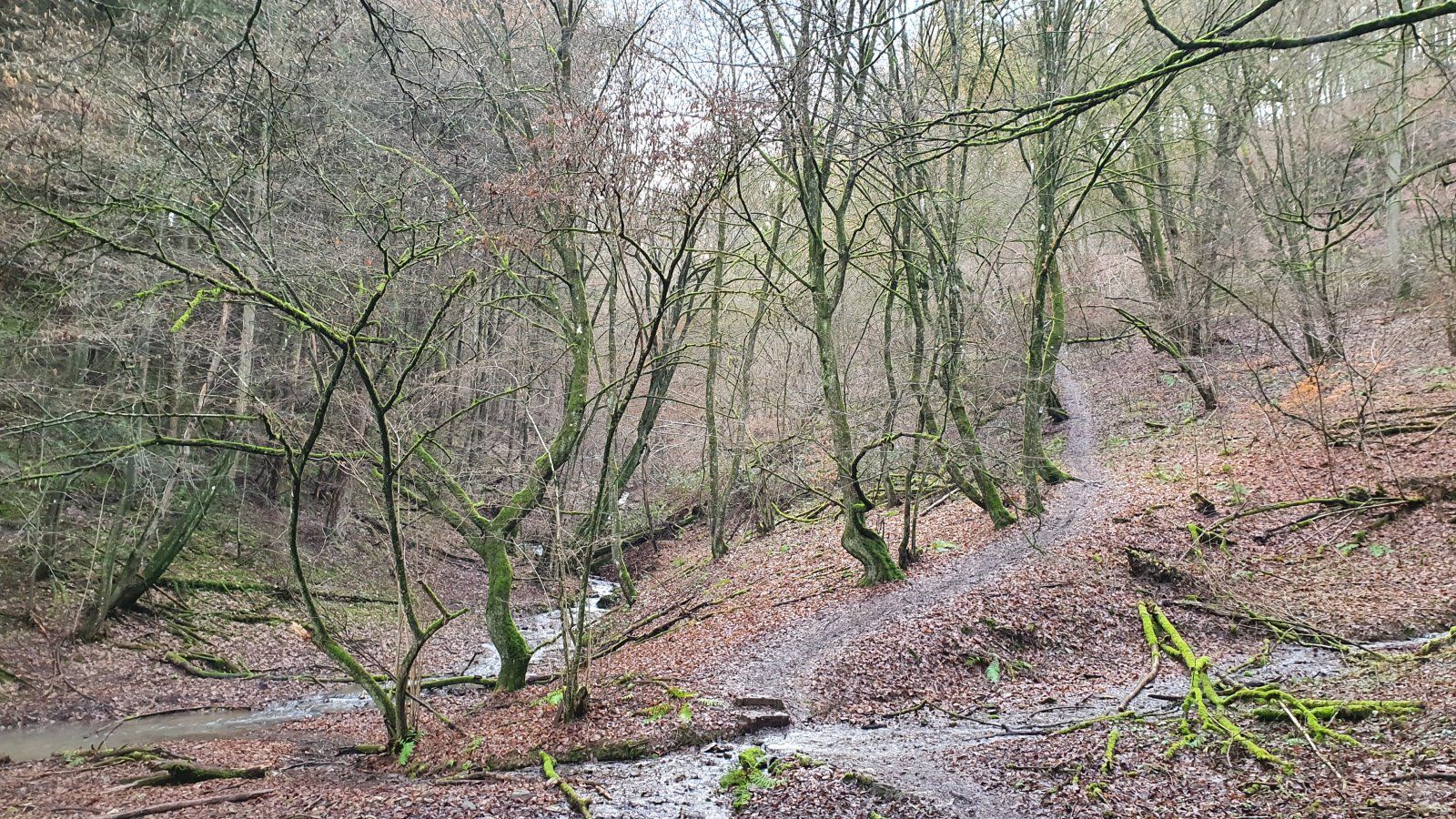 20201225_111904.jpg