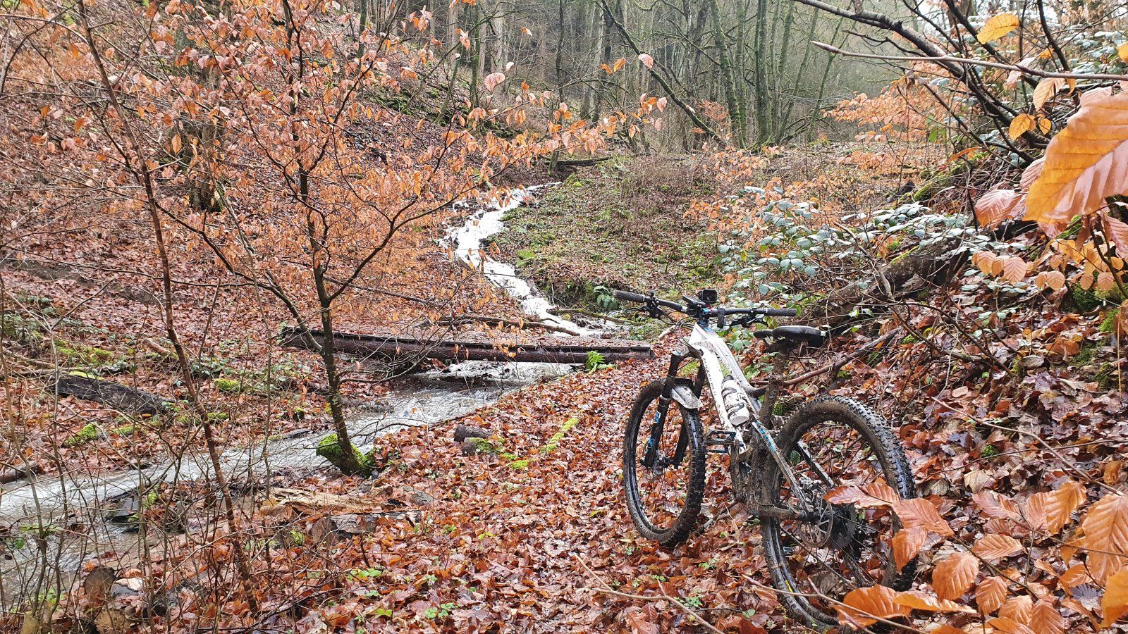 20201225_112143.jpg