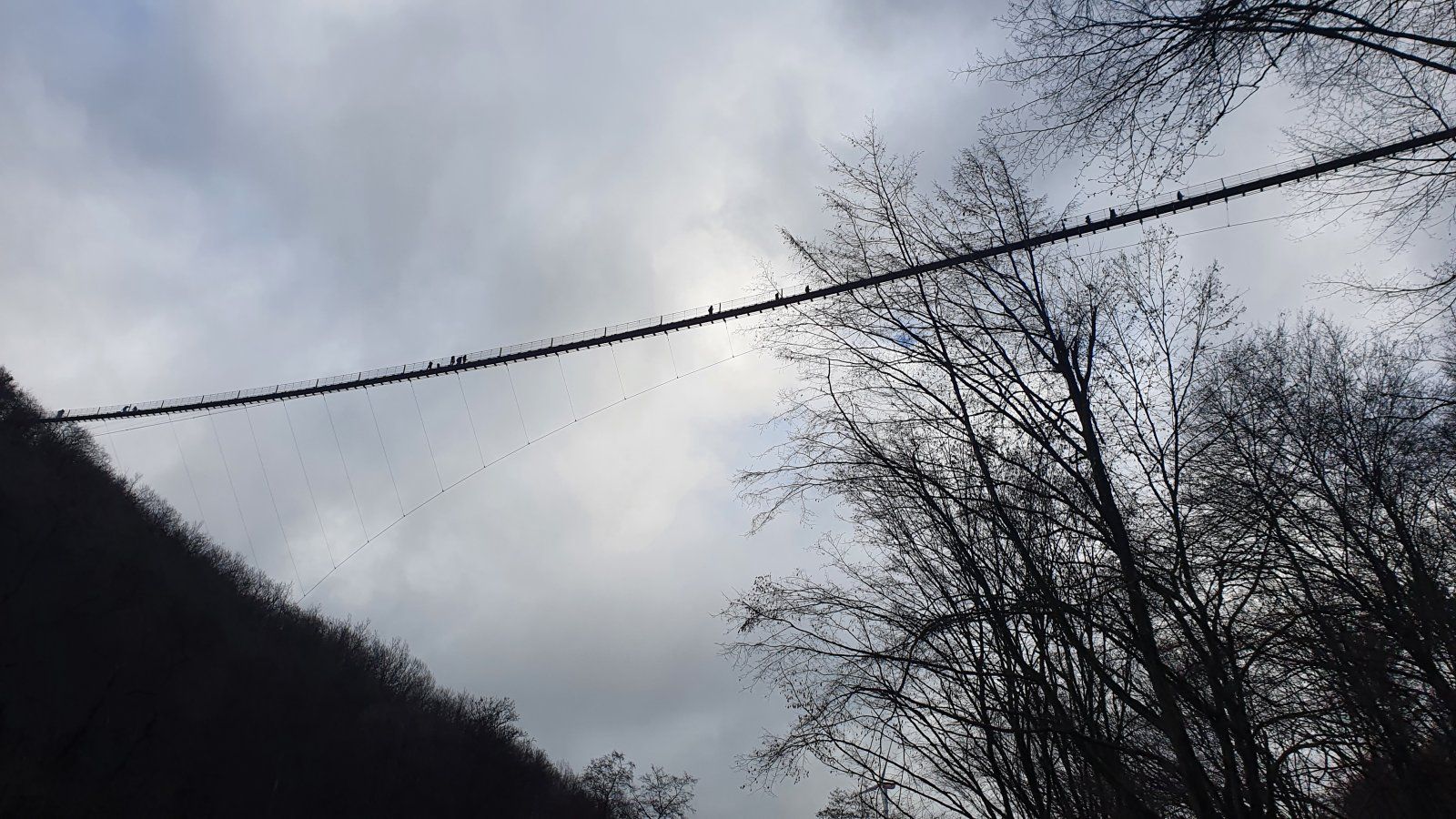 20201225_130937.jpg