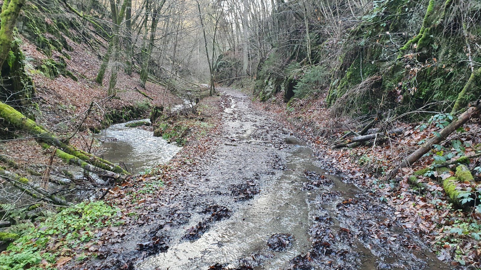 20201225_133005.jpg