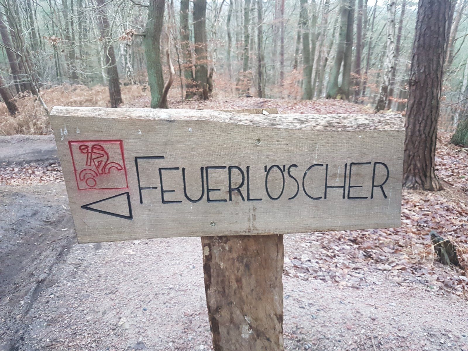 20201226_153846.jpg