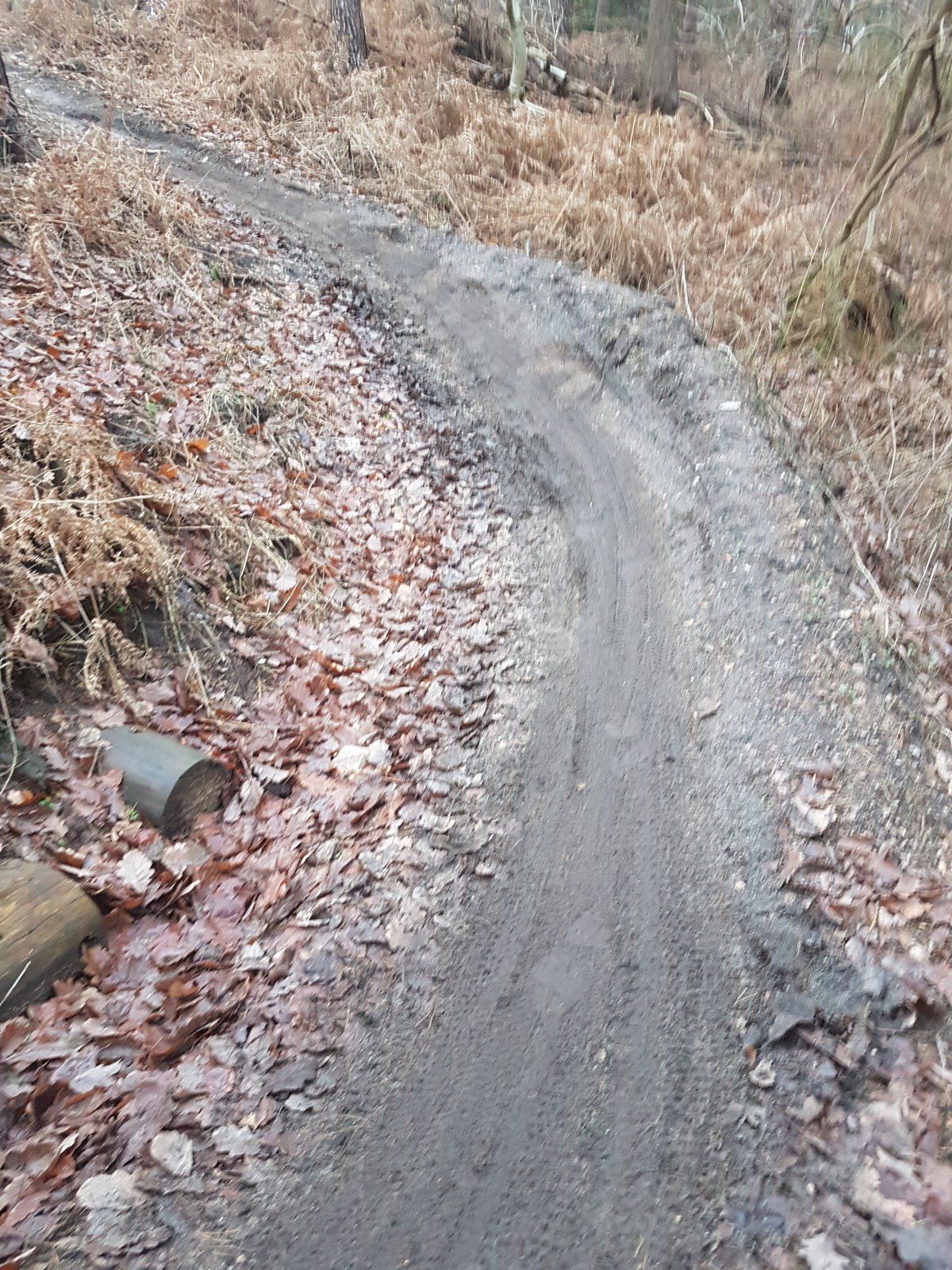 20201226_153943.jpg