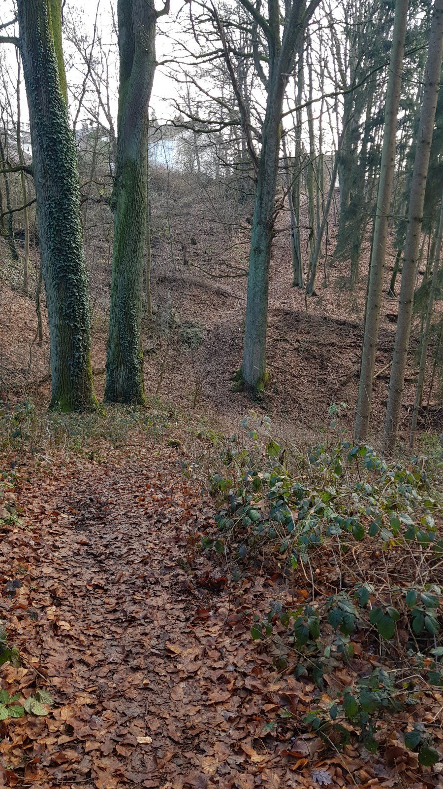 20201230_124049.jpg