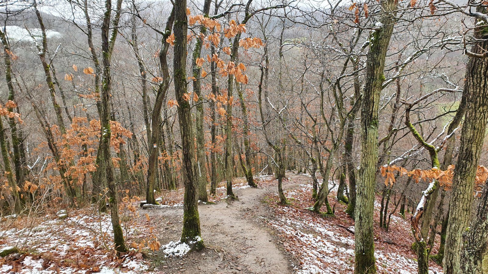 20201231_125616.jpg