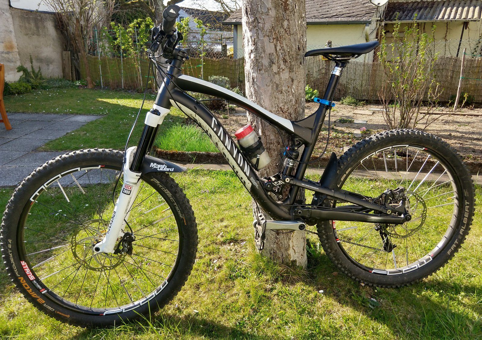 2020_Canyon_Strive_ES_9.0.jpg
