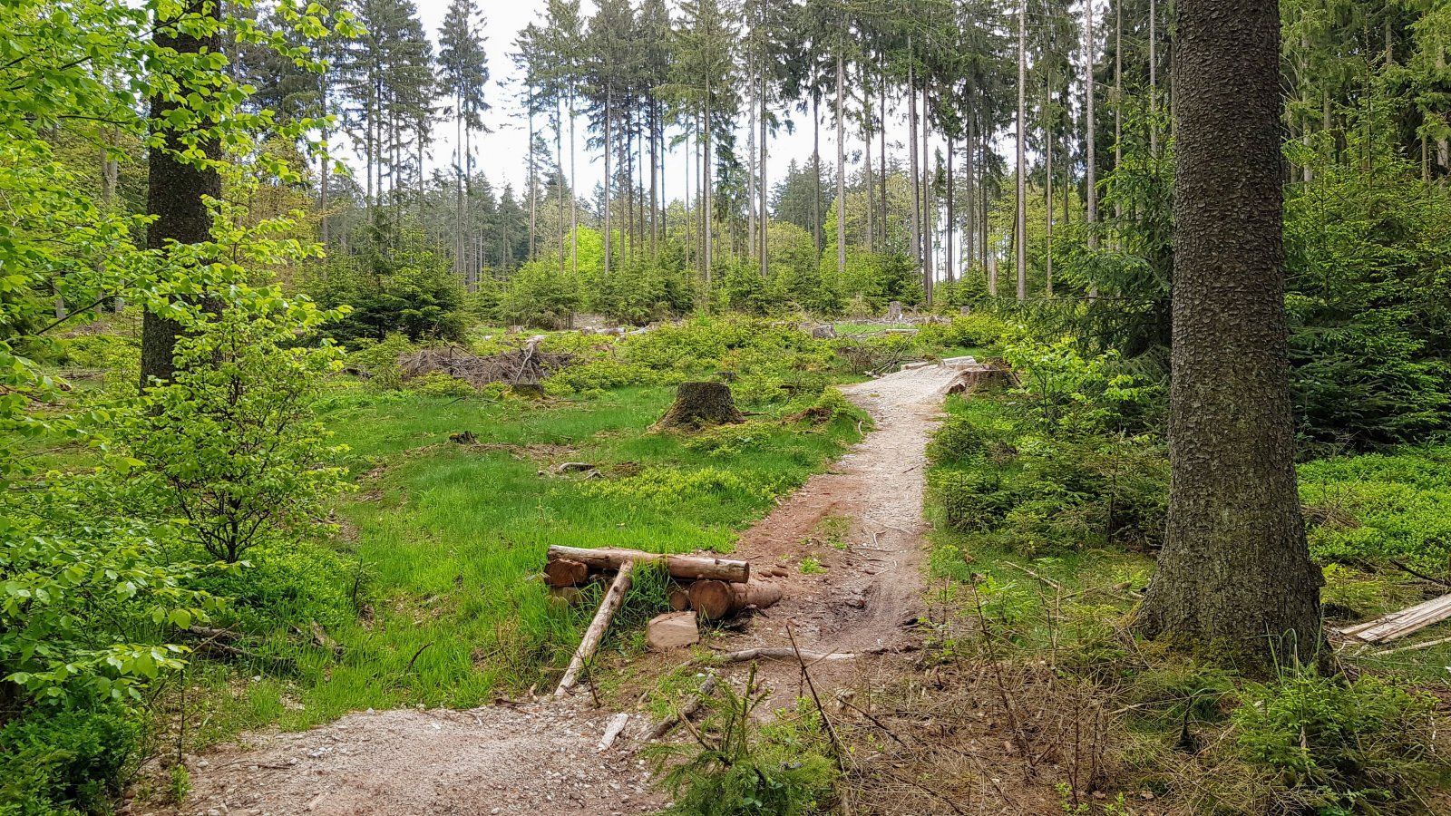 2021-05-23_Winterstein-01.jpg