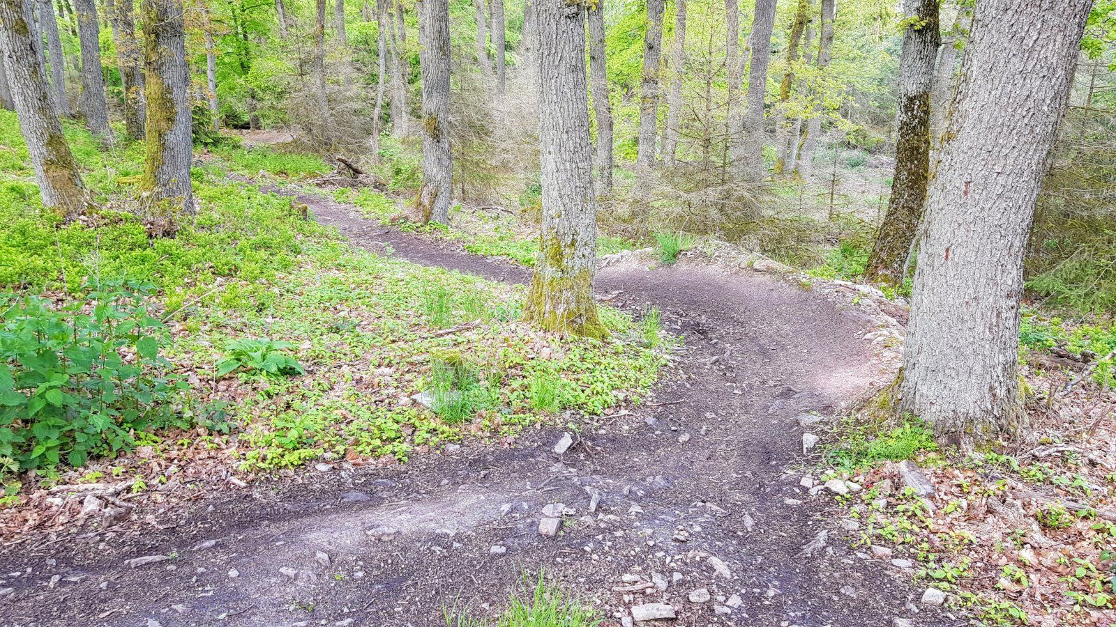 2021-05-23_Winterstein-05.jpg