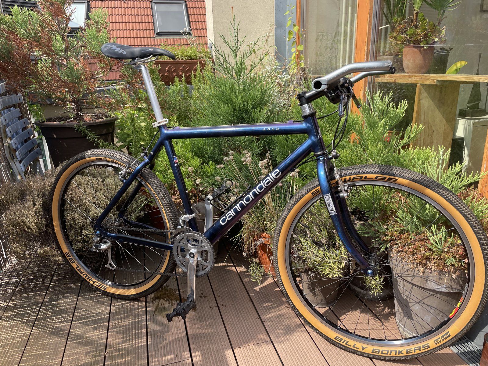 2021-08-21 13.53.13.jpg