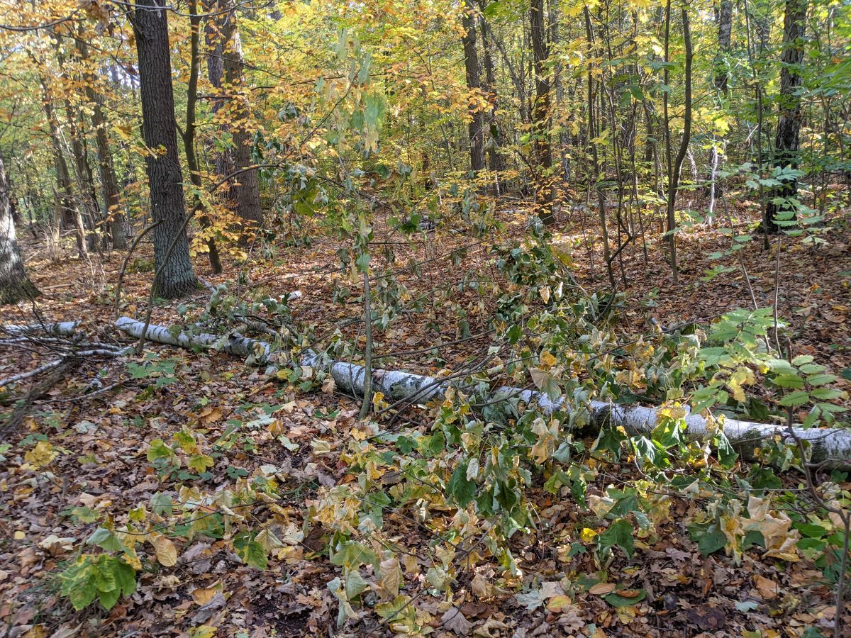 2021-10-24-Tour09.jpg
